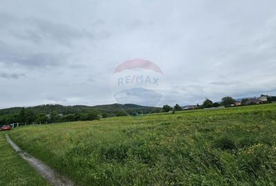 Teren Construcții intravilan de 1495 mp, în Dobreni - 10