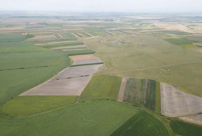 Teren arabil de 40 hectare in Zarand - 1