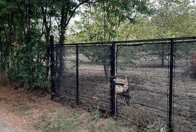 Spațiu comercial, în Central - 16