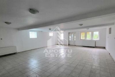 Casa ideala pentru birouri/alte activitati Mehala - 9