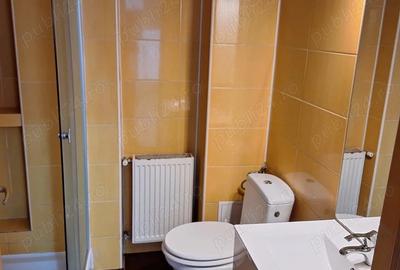 Garsonieră decomandată în Turnișor - 4