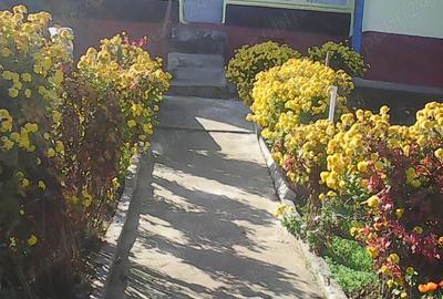 Casă în Rariștea - 2