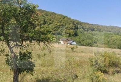 Teren Extravilan, 1300 mp, zona Viisoara - 1