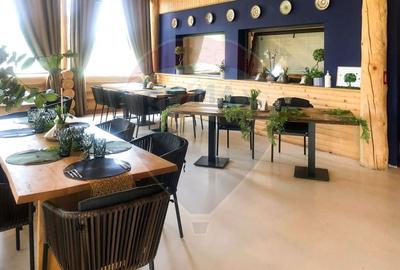 Oportunitate de Investitie - Complex Comercial si Agrement - Vaslui - 2