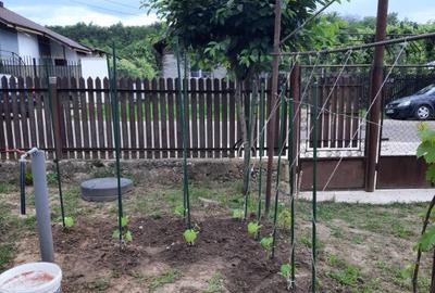 Teren de 1211 mp, în Dumbrăvești