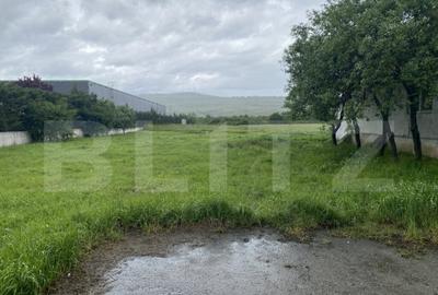 Teren intravilan/extravilan de vanzare, in suprafata de 3000 - 2