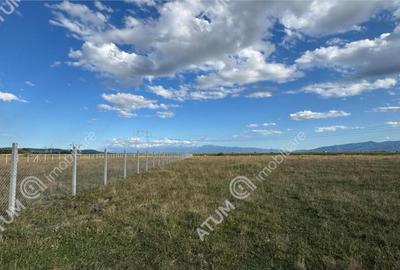 Teren 4200 mp situat in extravilanul zona Calea Surii Mici S - 4
