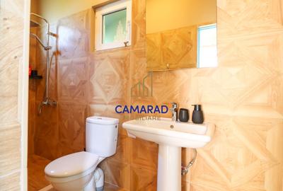 Casă individuală cu 4 camere cu Teren 2377 Mp în Provița de Jos - 10