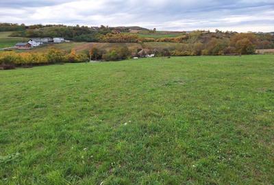 Spațiu comercial, în Central - 1