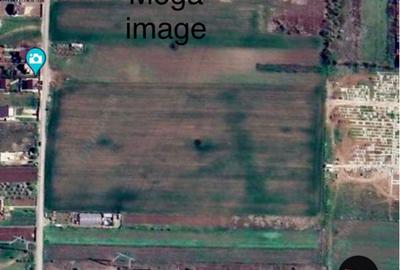 Teren comuna Berceni in spate la Mega Image 433mp - 2