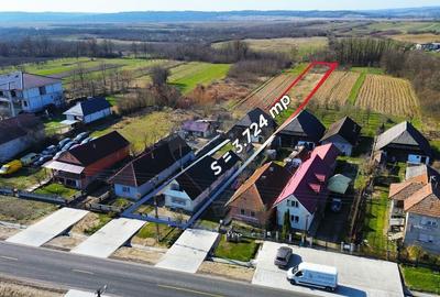 Casă cu 3 camere cu Teren 3724 Mp în Borlești - 3