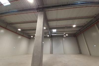 Catelu - Spatiu pentru depozitare cu temperatura controlata - 3