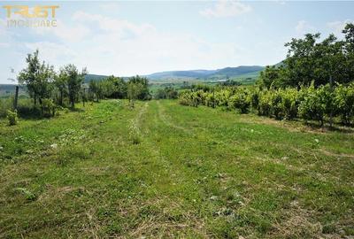 Casa, teren, gradina, livada, hala, ferma - 18