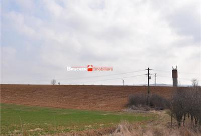 Teren de 1000 mp, în Petreu - 4