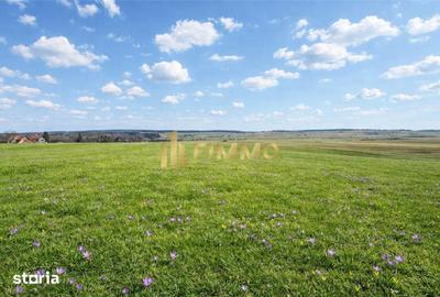 Teren de 3200 mp, în Mitocu Dragomirnei - 1