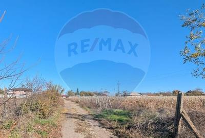 Teren agricol intravilan de 1200 mp, în Perieni - 2