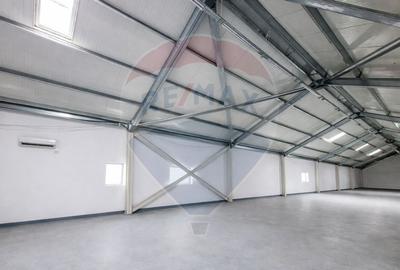 Hala 700mp, deschidere 9m, poductie, depozitare Pipera Plaza - 7