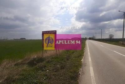 Teren Construcții intravilan de 5110 mp, în 1 Decembrie - 24
