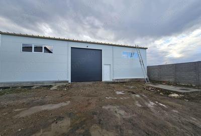 Hale noi depozitare Lugoj diferite dimensiuni 115 mp - 530 mp utili!! - 1