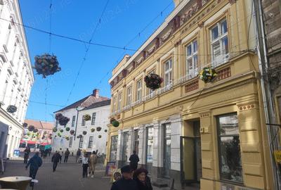 Inchiriez Casa cu flori , ultracentral in Timi?oara - 4