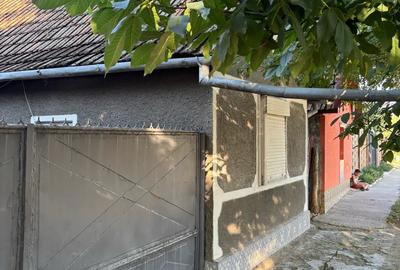 Casa de Vanzare in sat Crai Nou - 1