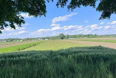 Spațiu comercial, în Costișa - 3