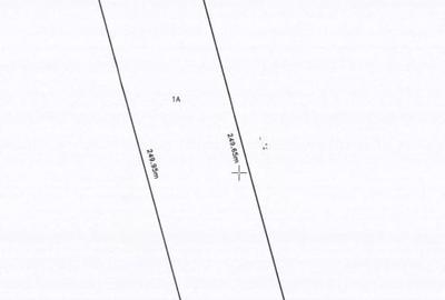 Teren intravilan, 10.000 mp, Simnicul de Sus - 1