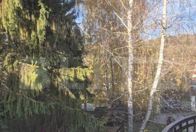 Proprietate de vanzare in Bardesti cu 1900 mp teren - 12