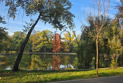 Apartament  cu Poezie in blocul Liric- Parcul Cișmigiu Apartament  cu Poezie in blocul Liric- Parcul Cișmigiu - 35