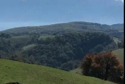 Teren de 4300 mp, în Poiana Mărului - 7