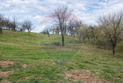 Teren Construcții de 2200 mp, în Central - 2