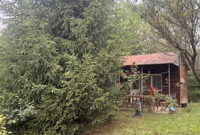 Spațiu comercial, în Bercu Roșu - 3