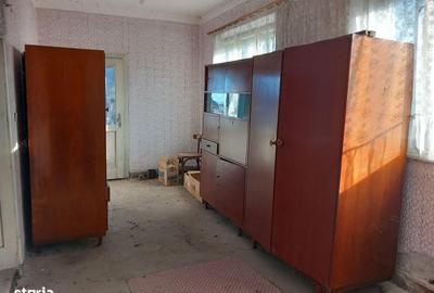 Casă cu Teren 6500 Mp în Mireșu Mare - 3