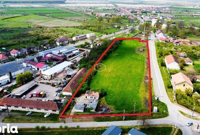 Teren de 12180 mp, în Burdea - 4