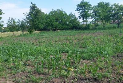 Casă individuală cu 4 camere cu Teren 80 Mp în Blânzi - 2