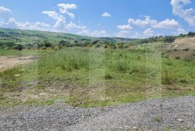 Teren de 1000 mp, în Iris - 3