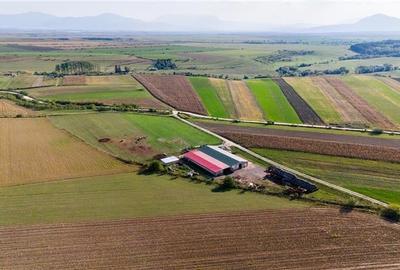 FILM! Zona extinsa, teren mixt,18.000 mp, ideal agro-investitii, Rotbav, Brasov - 11