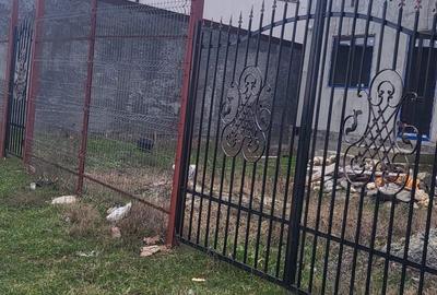 Casă cu 4 camere în Valu lui Traian - 1