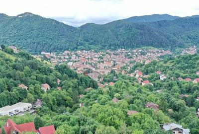 Teren de 2700 mp, în Drumul Poienii - 3