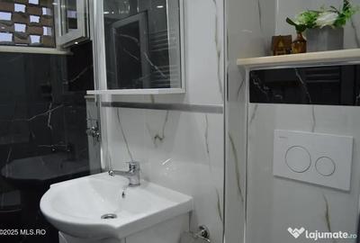 Apartament cu 2 camere semidecomandat, mobilat în Calea București - 10
