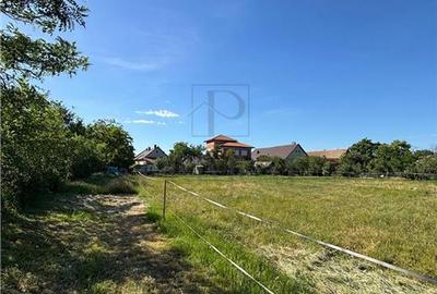 Teren intravilan de 1100 mp, în Bucovăț (Remetea Mare) - 3