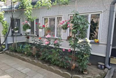 Casa renovata 4 camere in Nadlac - 15