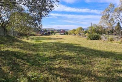 Spațiu comercial, în Toplița - 7