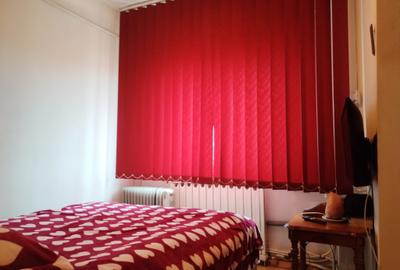 Apartament Studio - Brazda lui Novac - 7