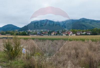 Teren de 440 mp, în Baciu - 5