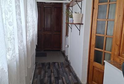 Apartament cu 3 camere decomandat în Craiovița Nouă - 13