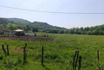 Oferta luna aceasta! Teren 10000 mp in Corbi Arges - 6