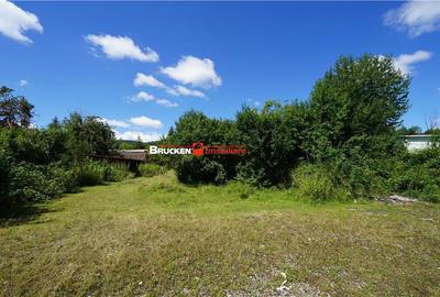 Spațiu comercial, de 1,500 mp, în Vașcău - 3