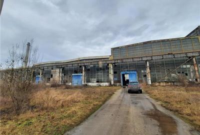 Spatiu Industrial - 10000 mp - Productie - Industrie Grea - 10