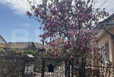 Casă cu 4 camere cu Teren 980 Mp în Ogra - 1